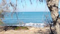 Sea waves sceene looking through tree branches, sunny day, static shoot