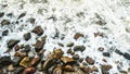 Sea waves slam into the sea rocks on the shore, sea foam on the shore rocks