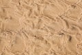 Sea waves and sun glare over the sandy coast. Sand texture background. Nature sand top view on beach in summer. Wave Royalty Free Stock Photo