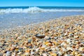 Sea waves washed clean beach made of shells. Landscape on a wild beach.