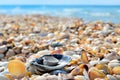 Sea waves washed clean beach made of shells. Royalty Free Stock Photo