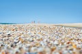 Sea waves washed clean beach made of shells. Royalty Free Stock Photo