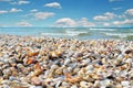 Sea waves washed clean beach made of shells. Royalty Free Stock Photo