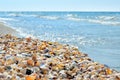 Sea waves washed clean beach made of shells. Royalty Free Stock Photo