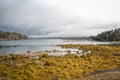 Sea Weed covered rocks