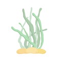 Sea weed cute wildlife vector illustration, underwater sea plants cartoon image for kids