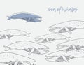 Sea of Whales.Hand draw linear cheerful simple silhouette whales.background for cards, posters, flyers, invitations