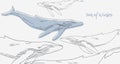 Sea of Whales.Hand draw linear graphically simple silhouette whales.background for cards, posters, flyers, invitations Royalty Free Stock Photo