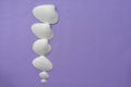 Sea white shells on a lilac Royalty Free Stock Photo