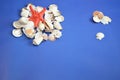 Sea white shells and a red star on a blue background, top view. Summer composition. Free space for text Royalty Free Stock Photo