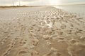 At the sea, Wijk aan Zee, Holland