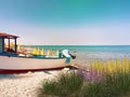 Sea wild flowers on beach white  sand  fish boat on horizon  blue sky and green sea water tropical landscape holiday Royalty Free Stock Photo