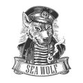 Sea wolf with pipe and ribbon. Royalty Free Stock Photo