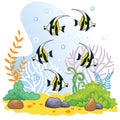 Sea world wildlife background with tropical striped fish Royalty Free Stock Photo