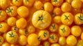 A Sea of Yellow Tomatoes.AI generated image Royalty Free Stock Photo