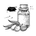 Seabackthorn essential oil bottle with berry hand drawn vector i