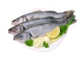 Seabass Royalty Free Stock Photo