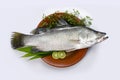 Seabass or barramundi fish on clay plate with cooking elements white background. Koral fish, Family Latidae, Scientific name Lates