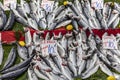 Seabass, bonito and sea bass on the counter in the fish market are ready for sale Royalty Free Stock Photo