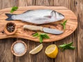 Seabass fish. Royalty Free Stock Photo