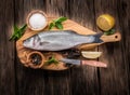 Seabass fish. Royalty Free Stock Photo