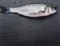 Seabass fish. Royalty Free Stock Photo