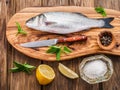 Seabass fish. Royalty Free Stock Photo