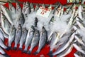 Seabass fish in ice on a market stall