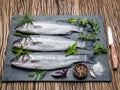Seabass on a graphite board with spices and herbs. Royalty Free Stock Photo