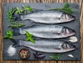 Seabass on a graphite board with spices and herbs. Royalty Free Stock Photo