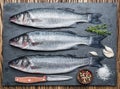 Seabass on a graphite board with spices and herbs. Royalty Free Stock Photo