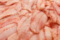 Seabass, hamour, grouper fish, sea bass fillet many sliced pieces and piled in bulk in fish market Royalty Free Stock Photo