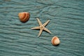 Seabed composition with one star, and two shells