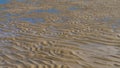 The seabed exposed at low tide. Pools of blue water formed