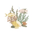 Seabed - fish, corals, algae, shell, starfish