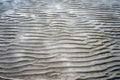 Seabed at low tide Royalty Free Stock Photo