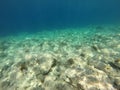 Seabed in Noli, Liguria - Italy