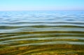 Seabed is seen through a clean and clear water. Small waves on the sea surface in summer