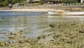 The seabed was exposed at low tide. Royalty Free Stock Photo