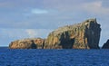 Seabird colony at the Bounty Islands, Subantarctic Islands