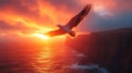 Seabird soaring sunset cliffs ocean dramatic sky Royalty Free Stock Photo