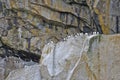 Seabirds on cliffs