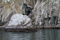 Seabirds on coastal cliffs Royalty Free Stock Photo