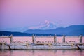 Seabirds and Mount Baker. Gorgeous pink evening light, Sydney, BC