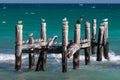 Seabirds resting on an old abandoned pier in Riviera Maya, Mexico