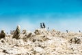 Seabirds on the rockface in the Ballestas island, natural park.