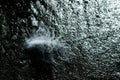 Seabirds white feather on the beach lying on the wet sand Royalty Free Stock Photo