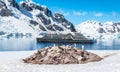 Seabourn Pursuit in Port Charcot, Antarctica. Royalty Free Stock Photo