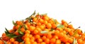 Seabuckthorn