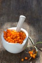 Seabuckthorn Berries in a Bowl